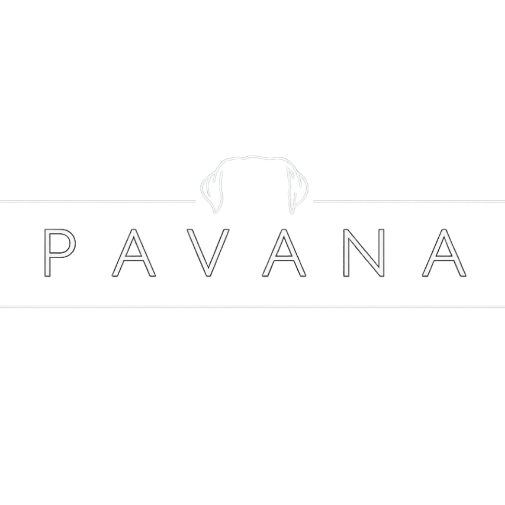 Pavana Jewels